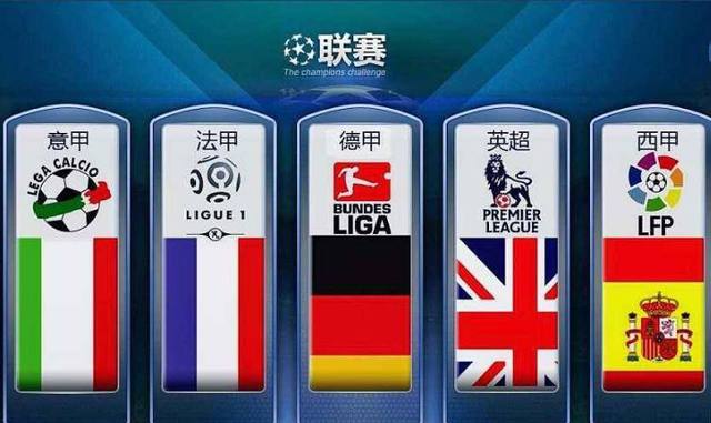 其他奪冠案