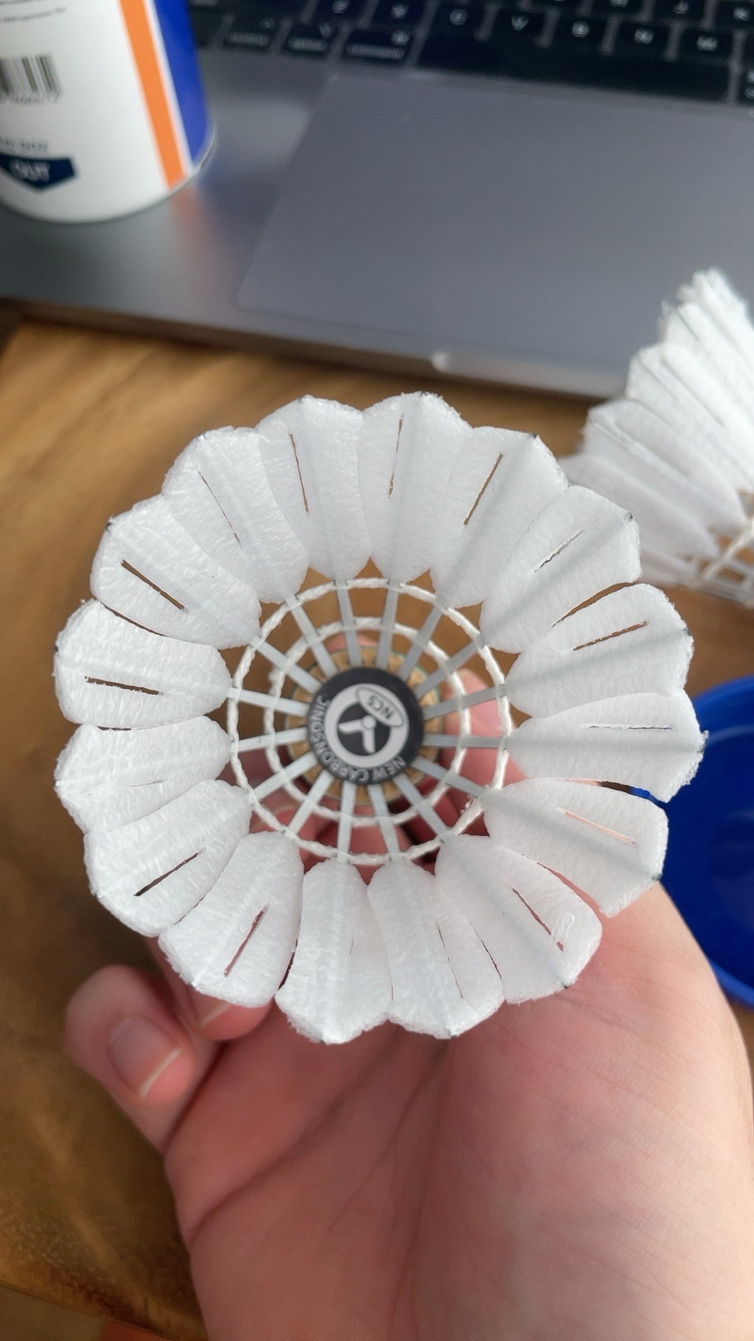 新援的加入 新援的加入