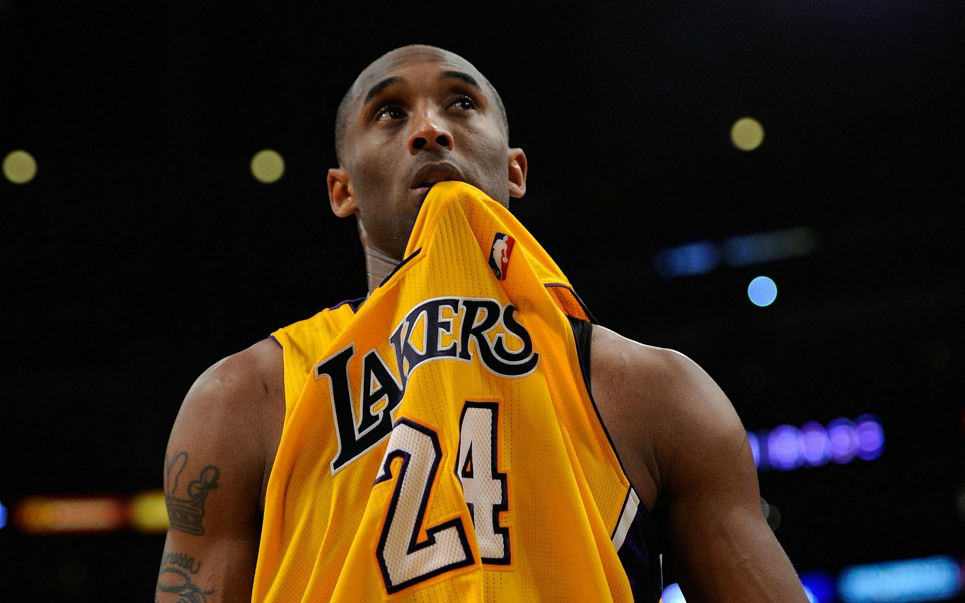 能力是广厦 能力是广厦